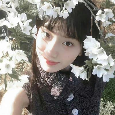 傲骨贤妻第七季
