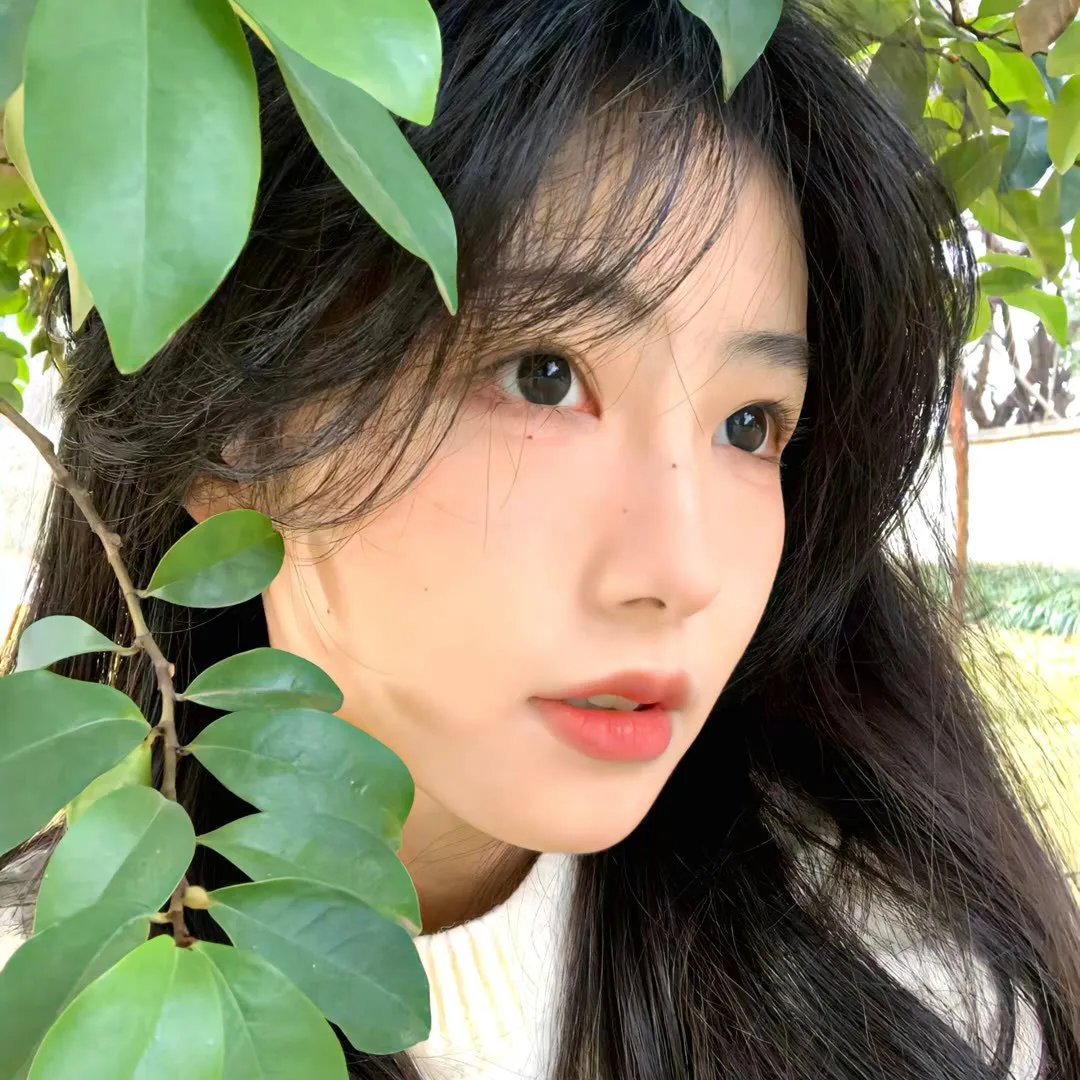 寻秦记